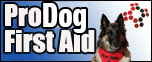 Canine First Aid